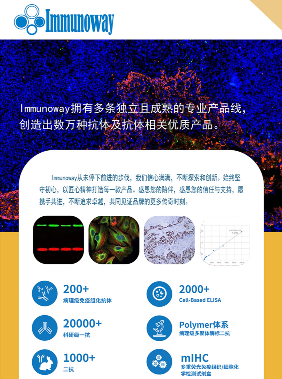 Immunoway全线产品